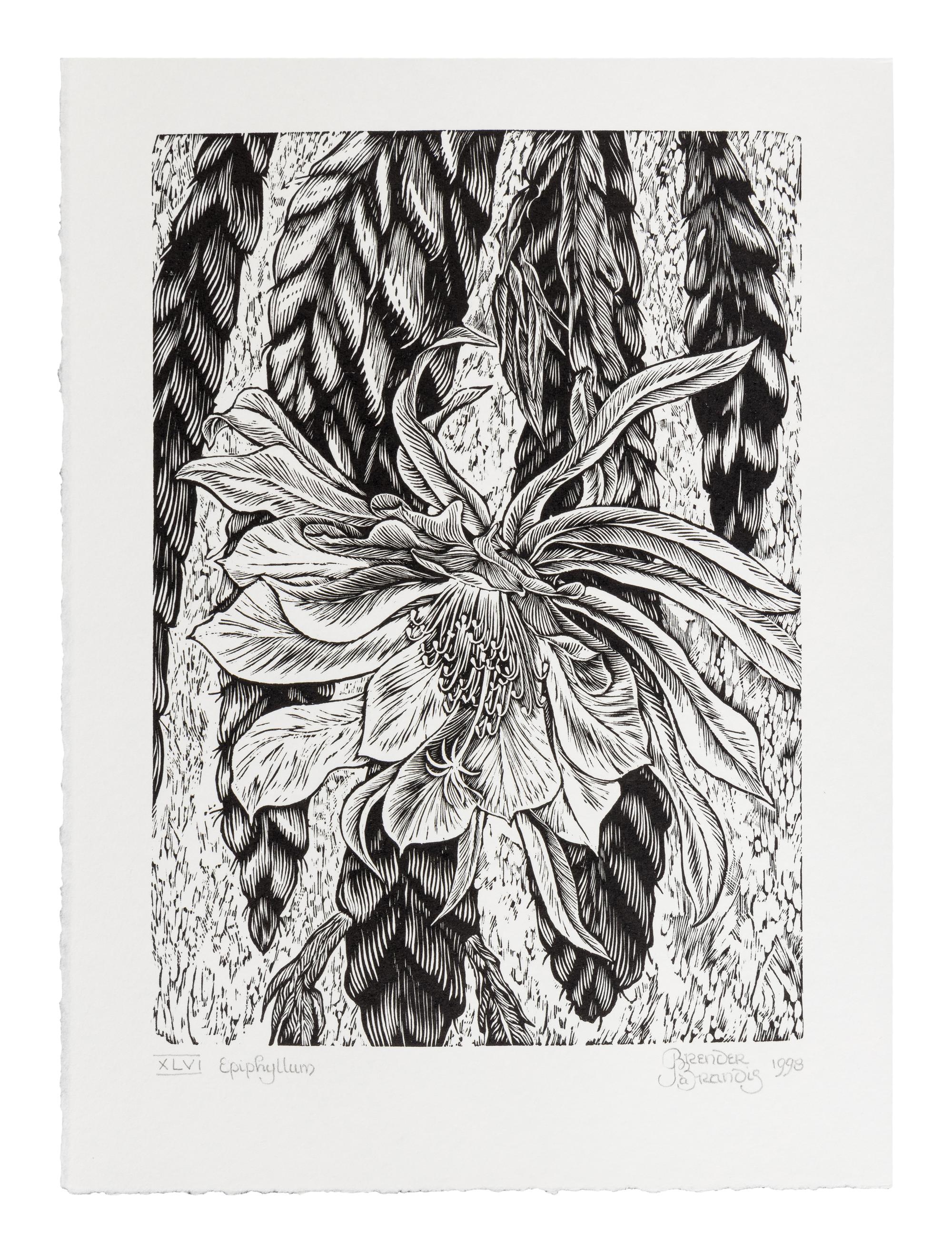 [BARBARIAN PRESS]. A group of 4 works from the "Endgrain Editions" series, comprising: