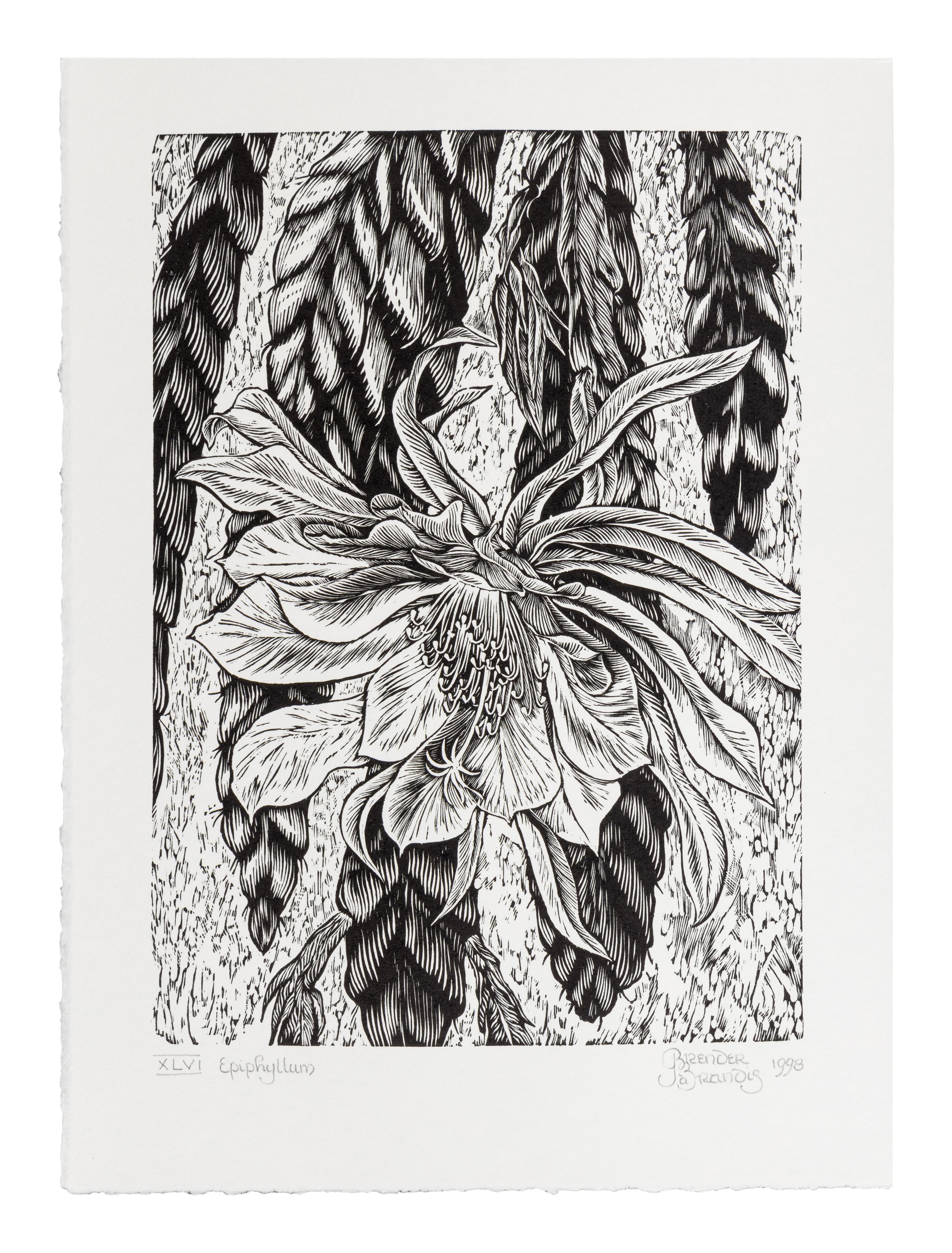 [BARBARIAN PRESS]. A group of 4 works from the "Endgrain Editions" series, comprising: