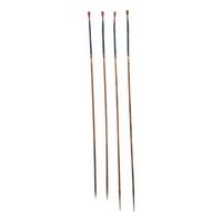 Southeastern Painted Bird Darts