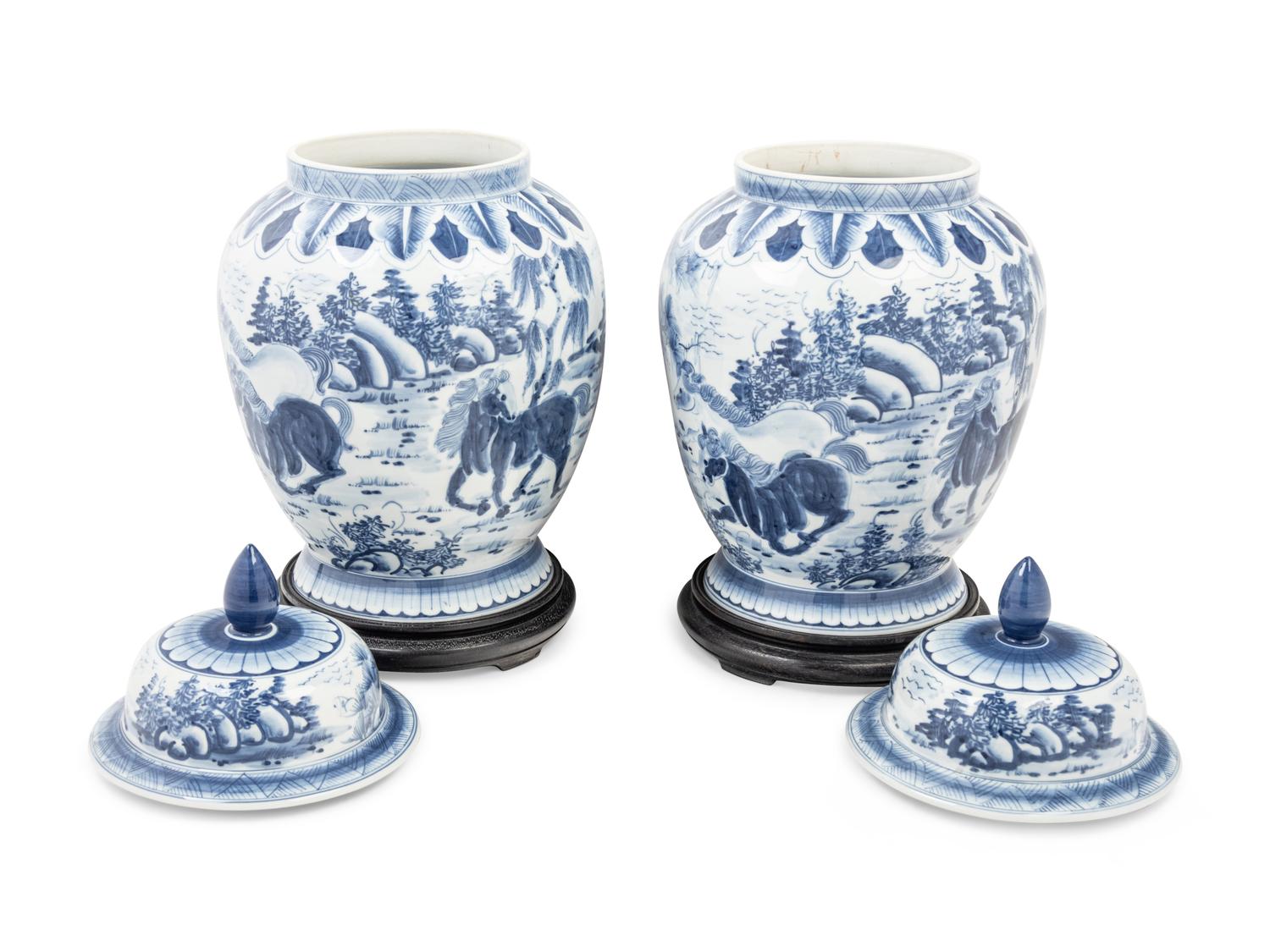 A Pair of Chinese Blue and White Porcelain Jars