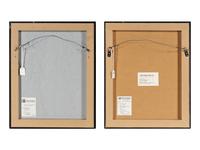 Expect Long Delays and Amazon Steamship Tour (two works), 1997