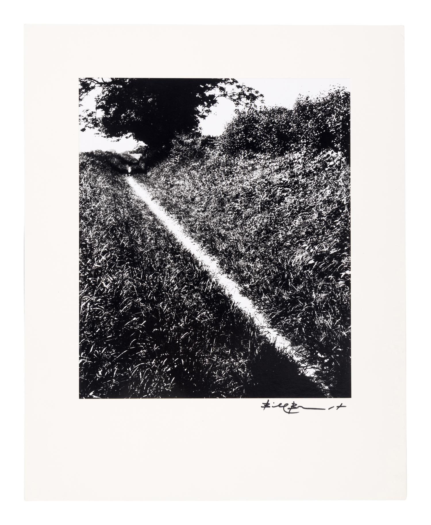 Bill Brandt (1904–1983) Pilgrim's Way, Kent, 1950