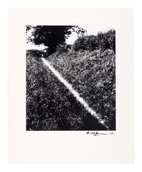Bill Brandt (1904–1983) Pilgrim's Way, Kent, 1950