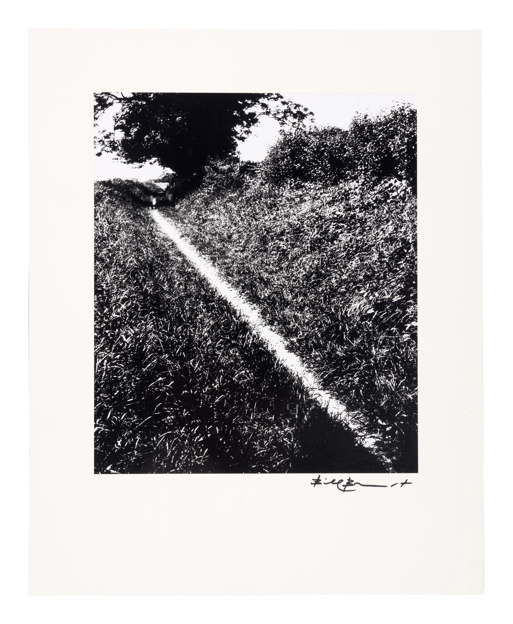Bill Brandt (1904–1983) Pilgrim's Way, Kent, 1950