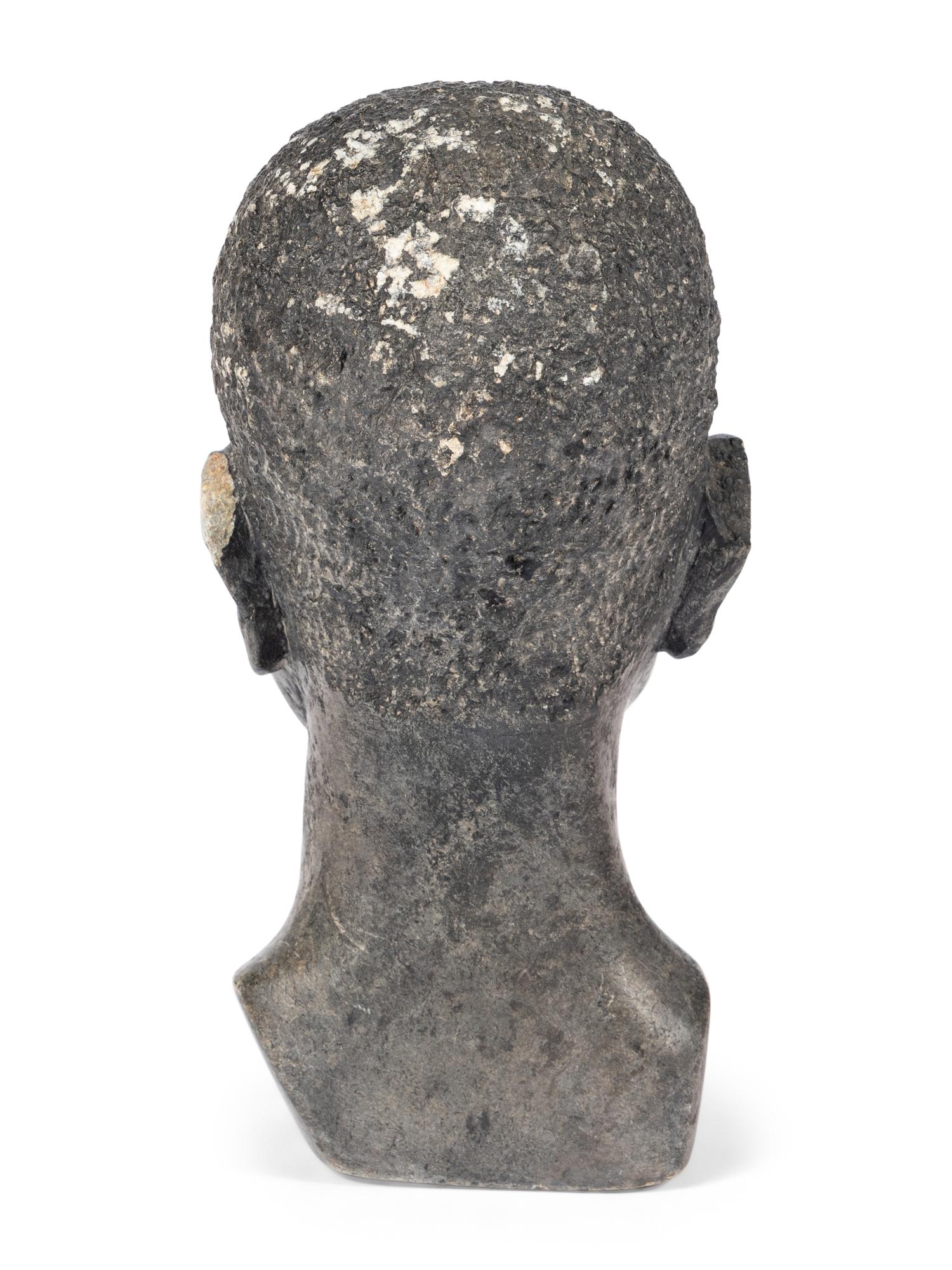 Bust of a Young Man