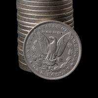 A Group of Twenty Morgan $1 Coins