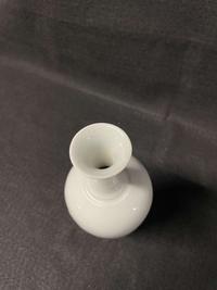 A Chinese amphora-shaped "Dragon" vase 龙纹双耳瓶 Kangxi mark, but later ??? ????