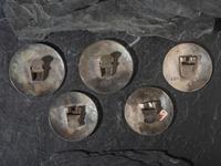 Group of Bird-Themed Bolo Slides