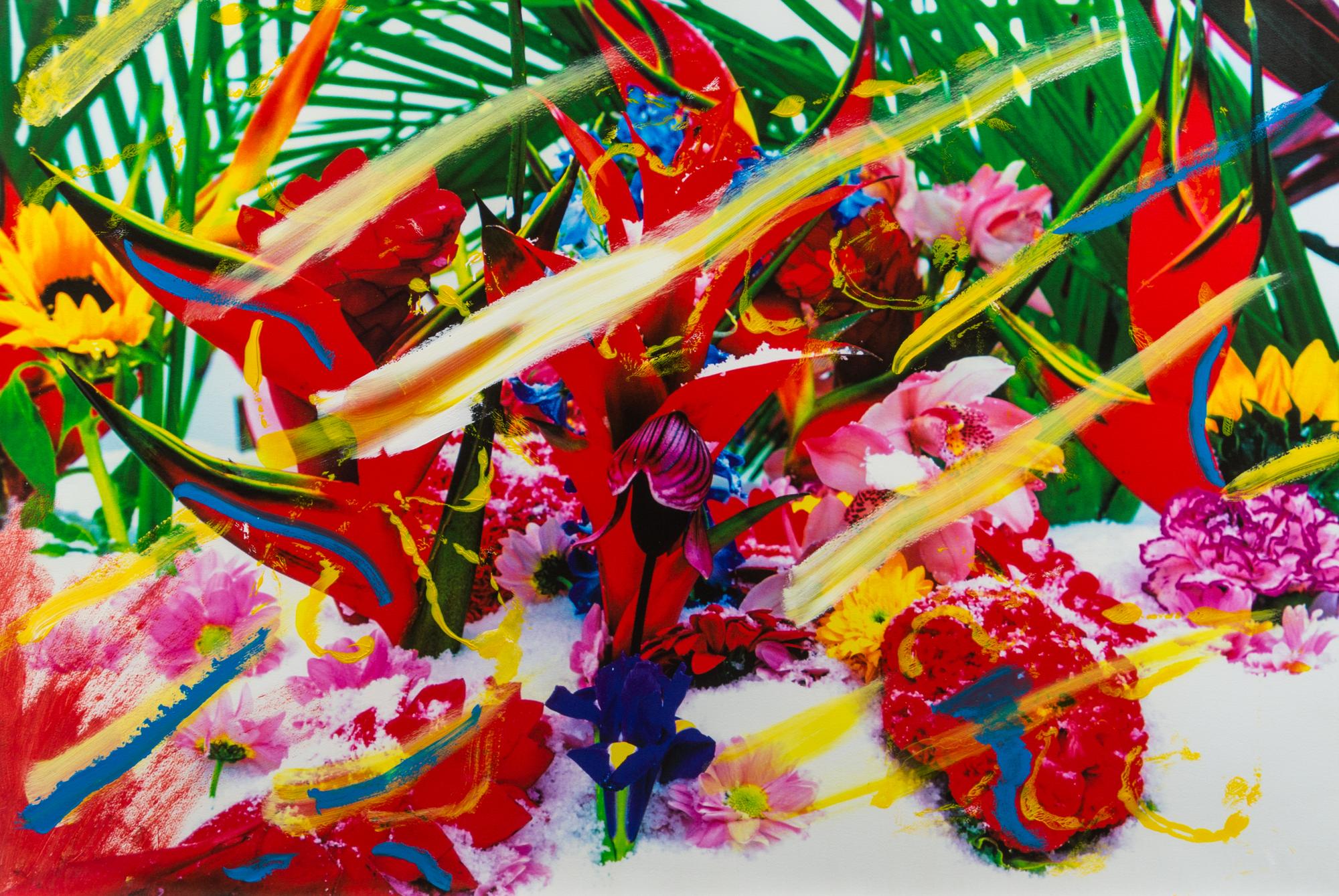 Marc Quinn, (British, b. 1964), Untitled (pl. 4 from Winter Garden), 2004