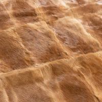 A Fur Throw Blanket