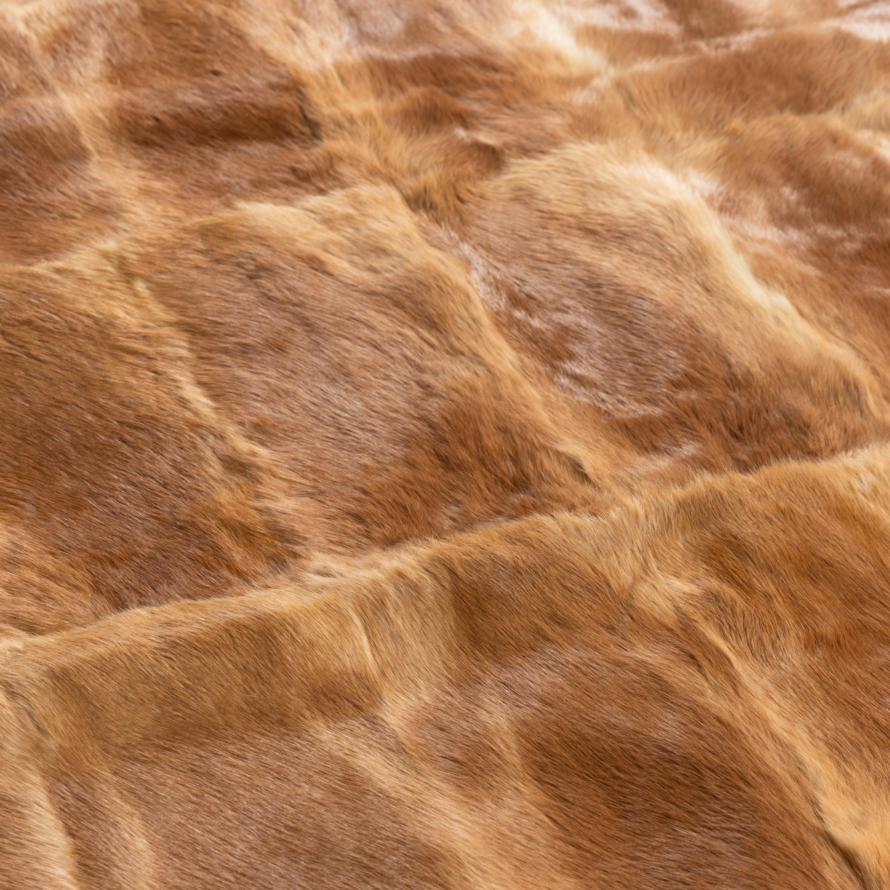 A Fur Throw Blanket