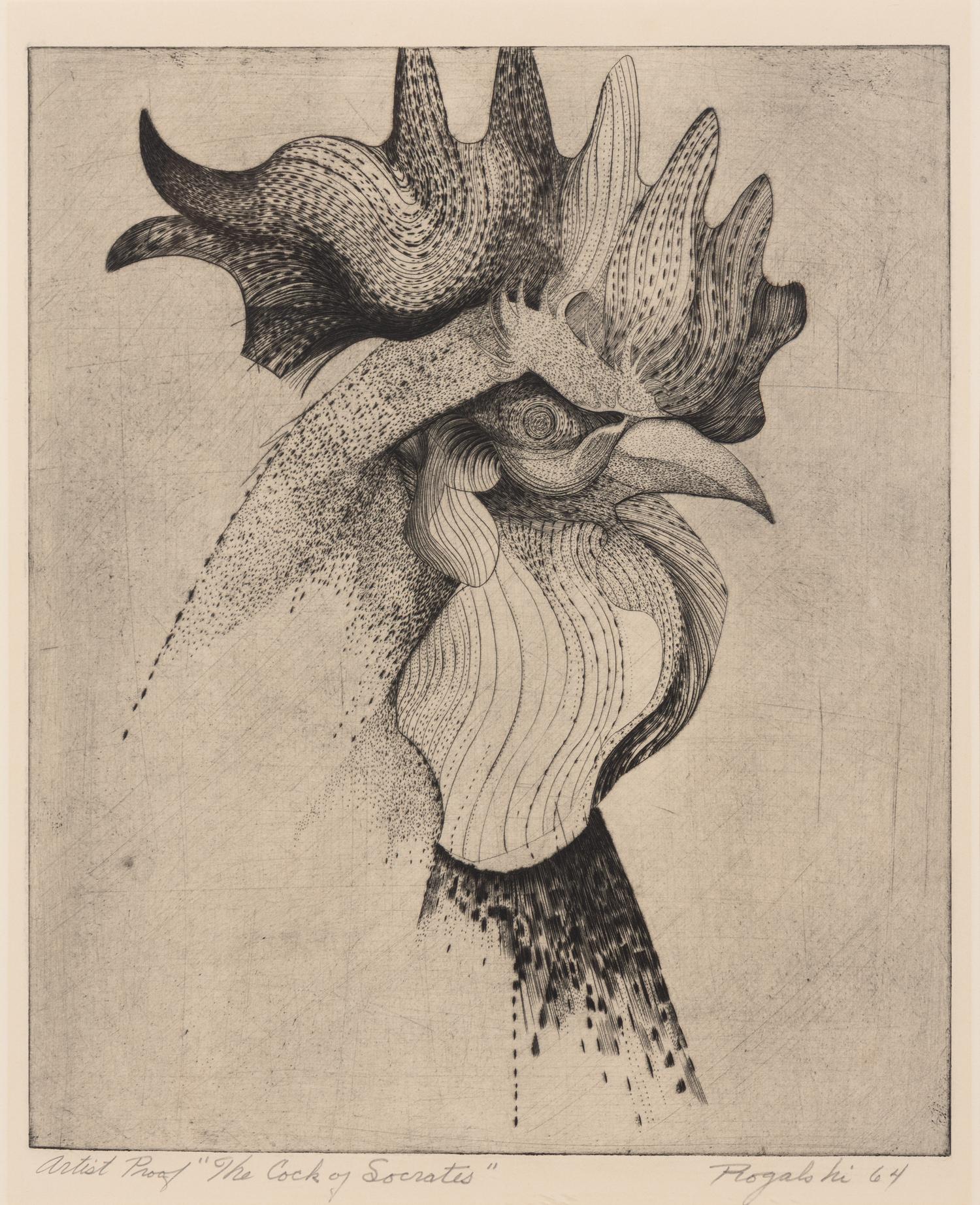 The Cock of Socrates
