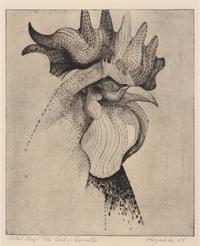 The Cock of Socrates