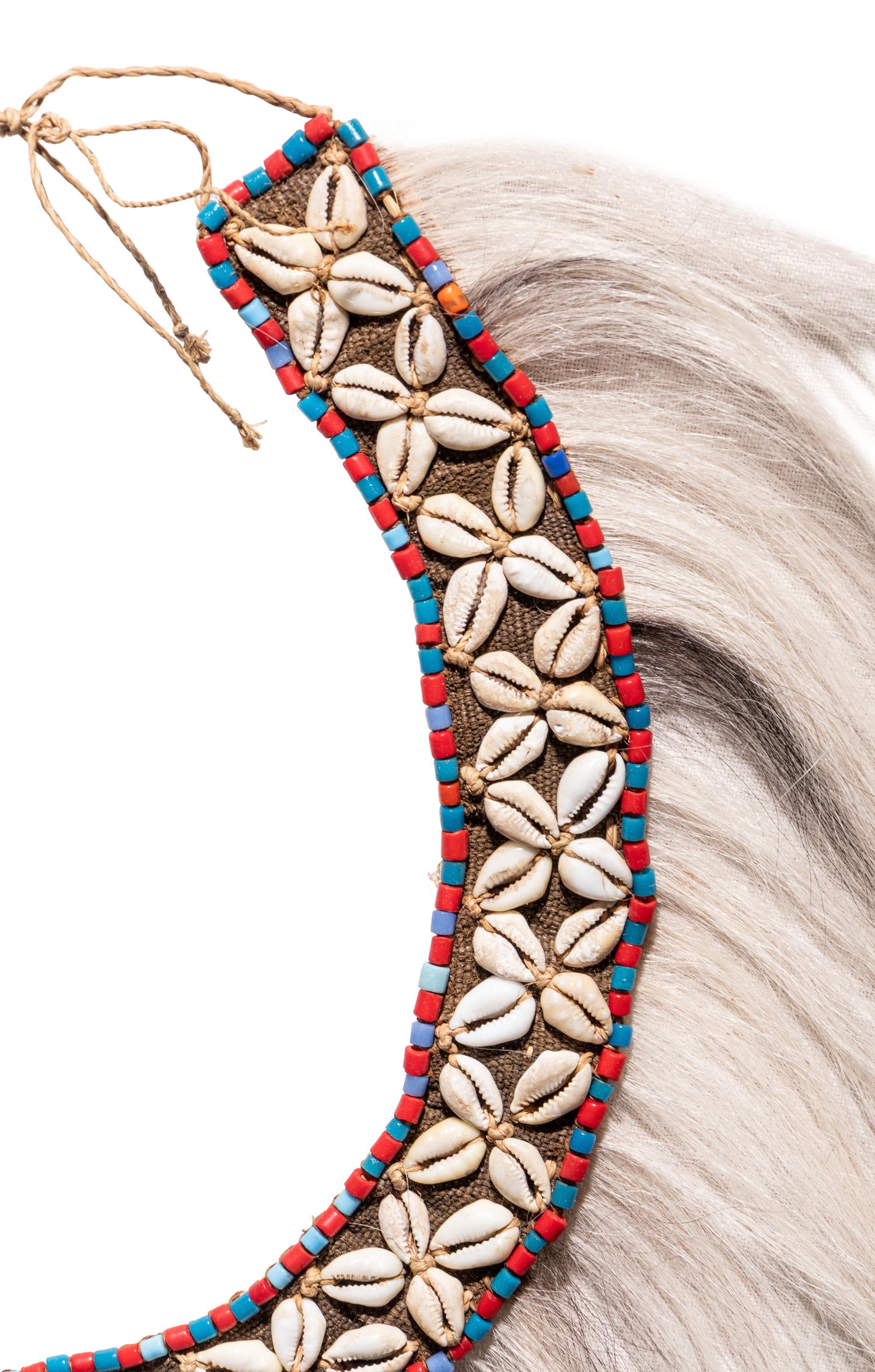 A Group of Four Amazonian Shell Belts or Headdresses