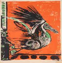 Pelican