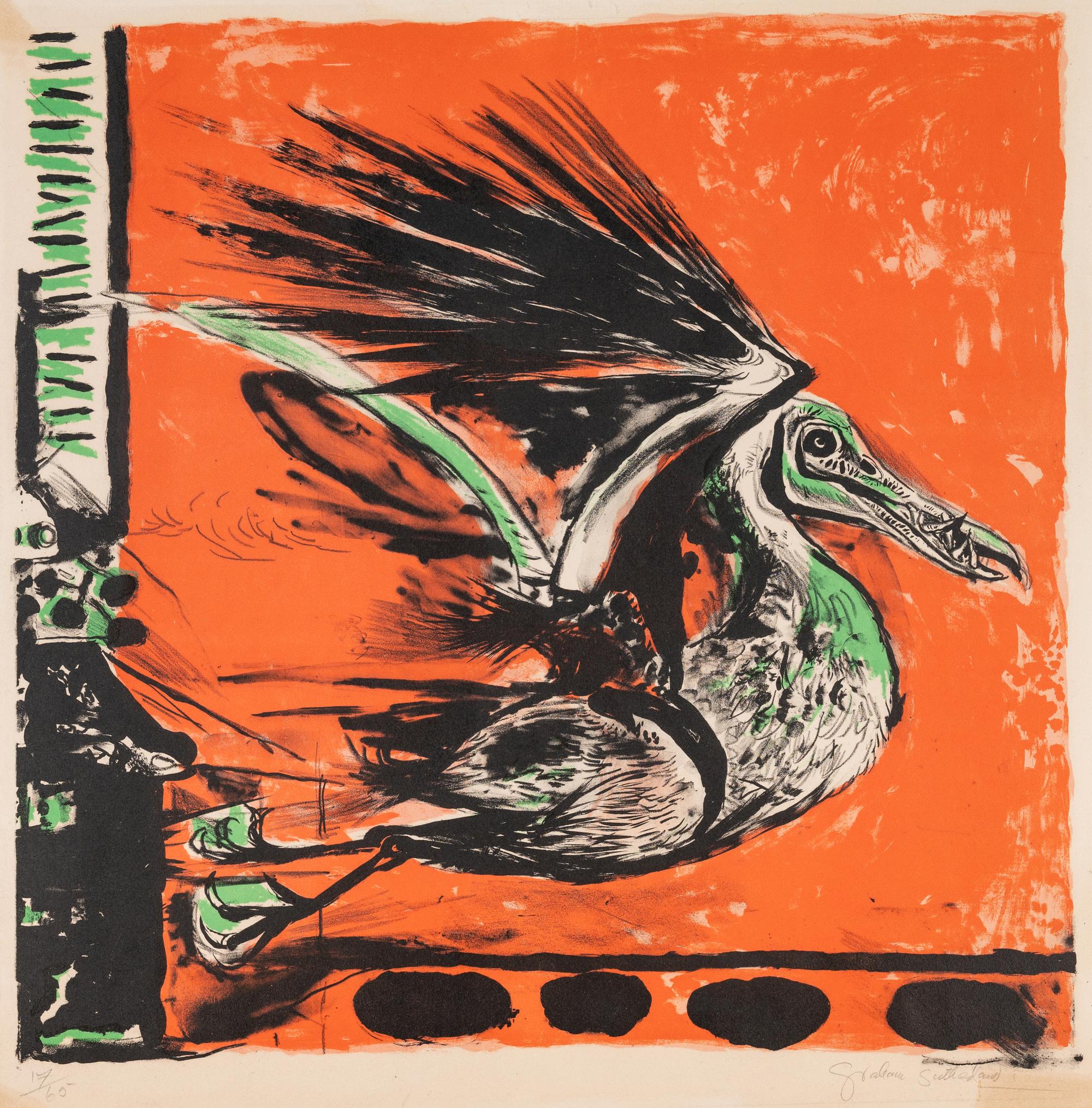 Pelican