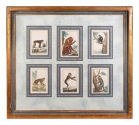 A Set of Twelve Hand-Colored Monkey Engravings — LATE 18TH/EARLY 19TH CENTURY