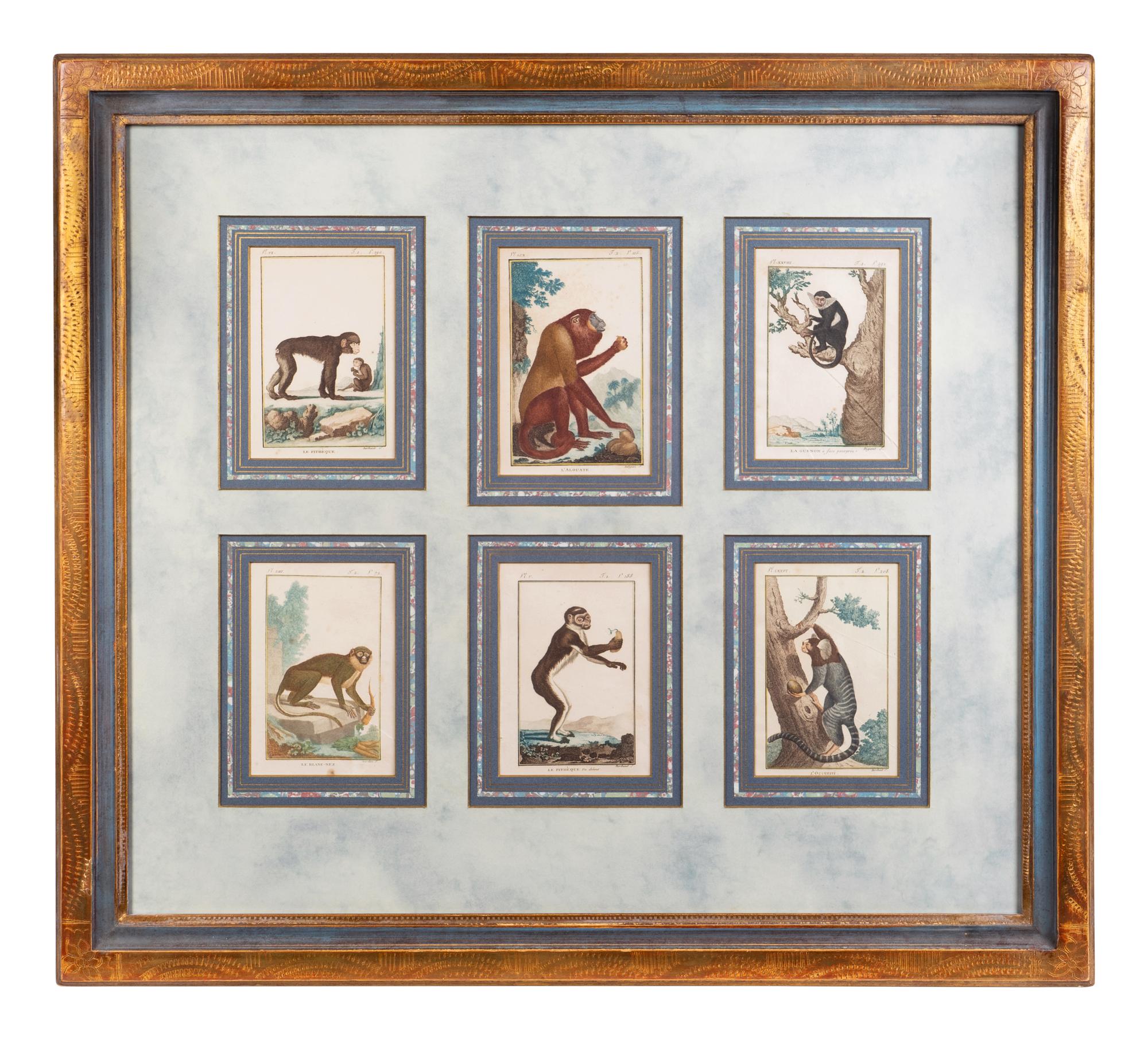 A Set of Twelve Hand-Colored Monkey Engravings — LATE 18TH/EARLY 19TH CENTURY