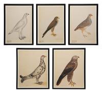 A Set of Five Modern Facsimiles of Engravings Depicting Birds of Prey
