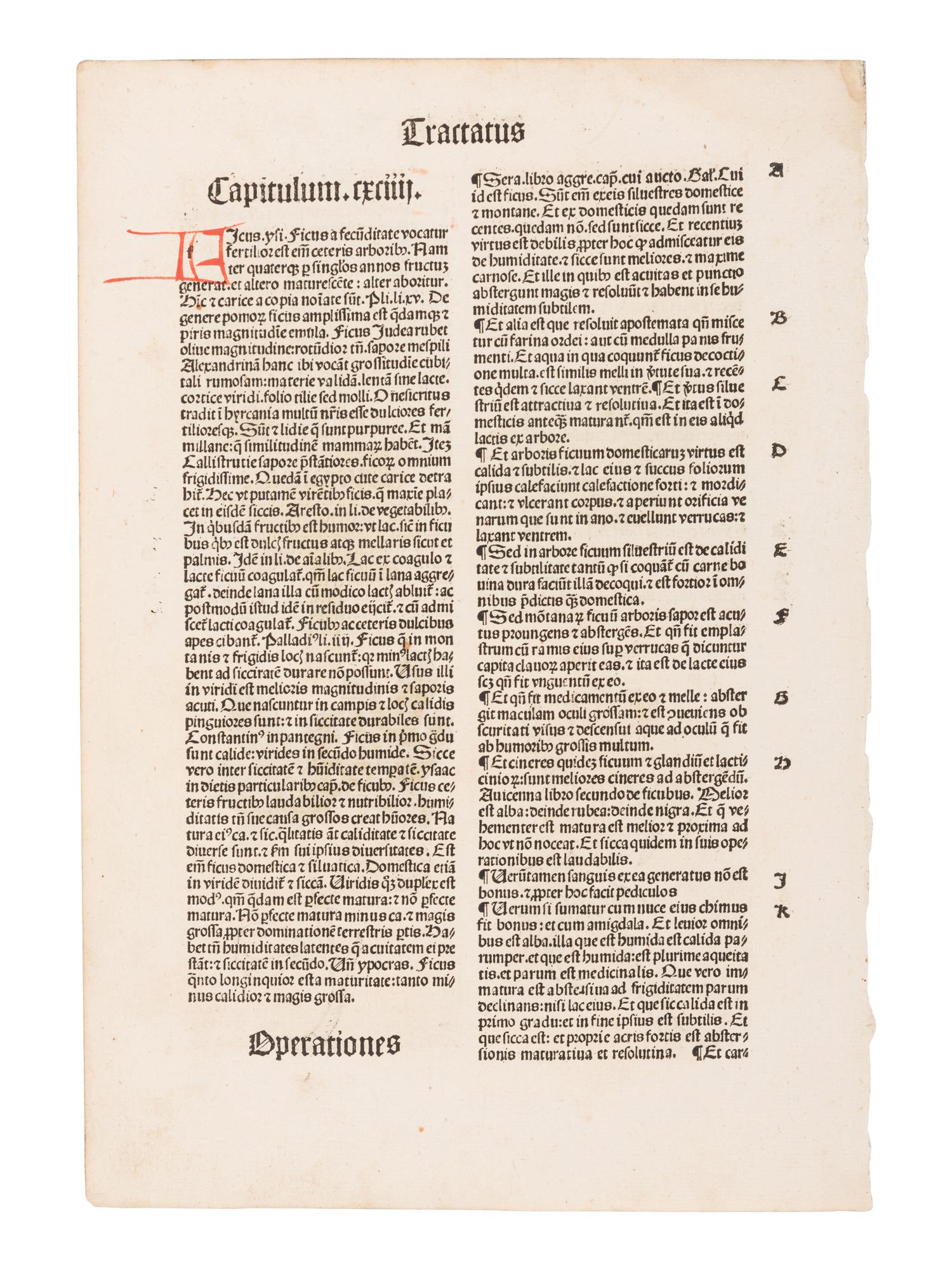 [HERBAL] -- [ Hortus sanitatis. De herbis et plantis... ] [Strassburg: Johann Prüss, ca 1497?].