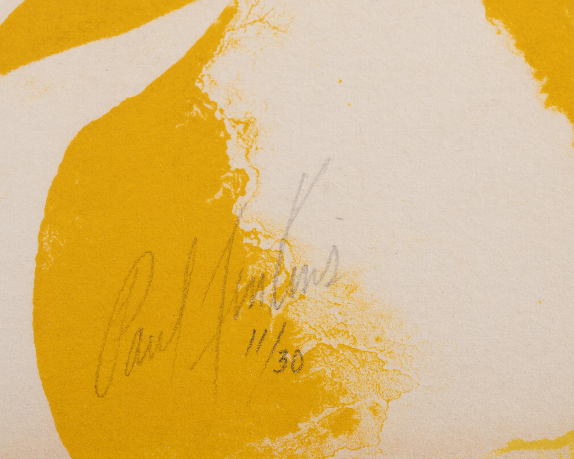 One Plate from Seeing Voice Welsh Heart