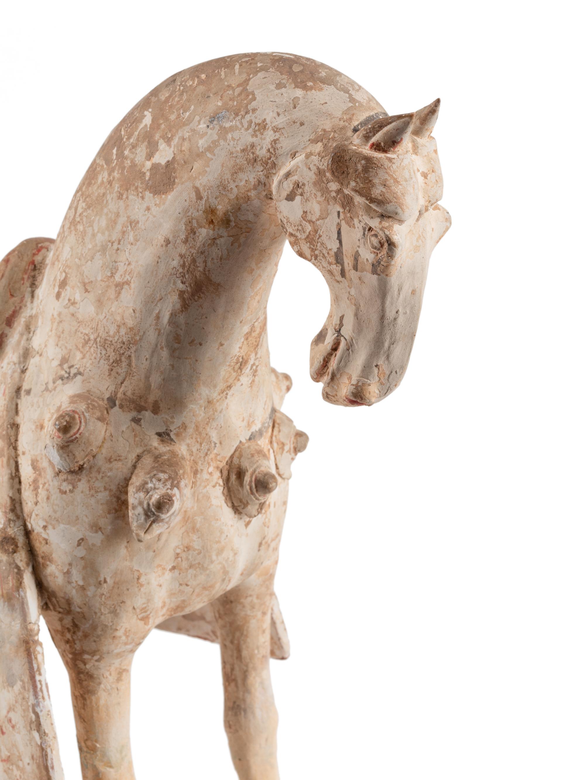 A Chinese Pottery Horse
