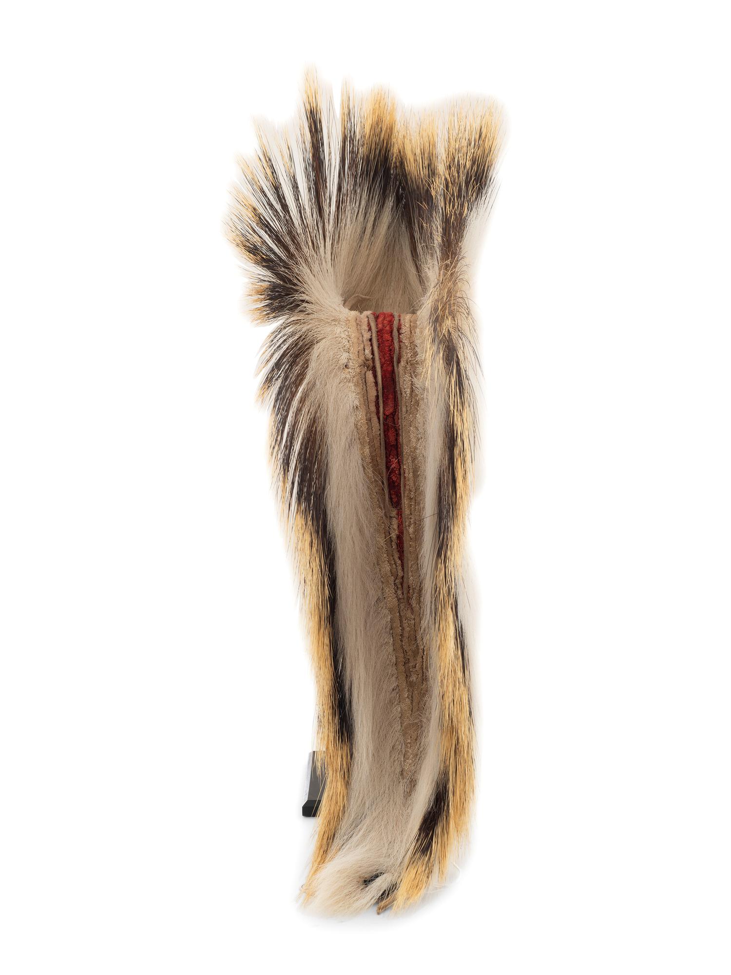 Plains Porcupine Hair Roach
