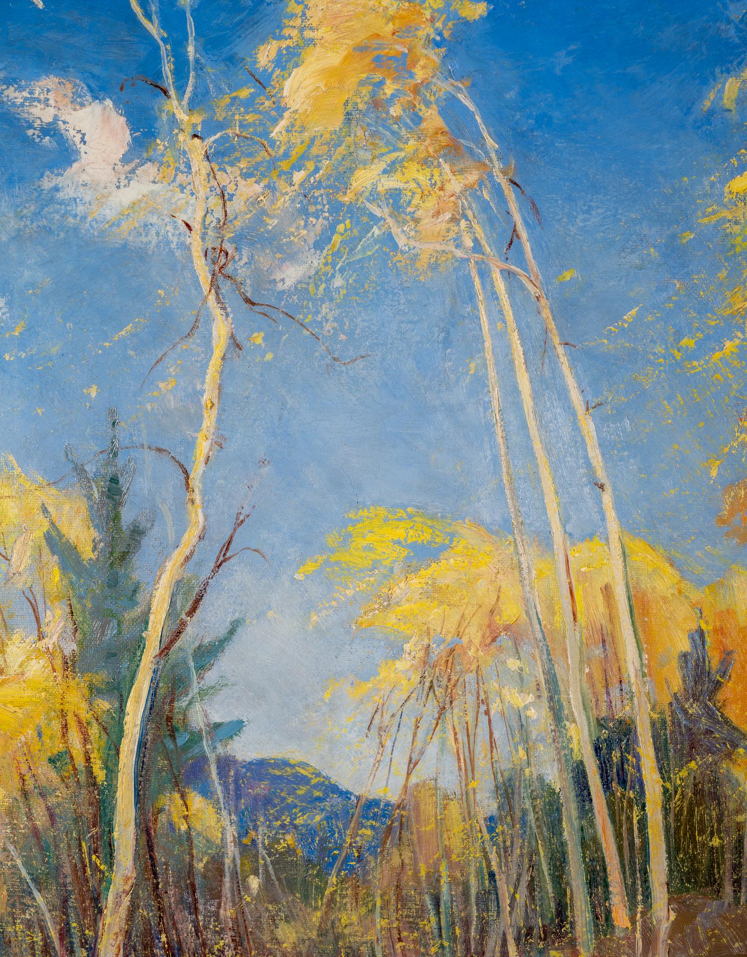 Wind in the Trees