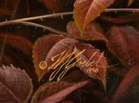 Woodcock , 1998