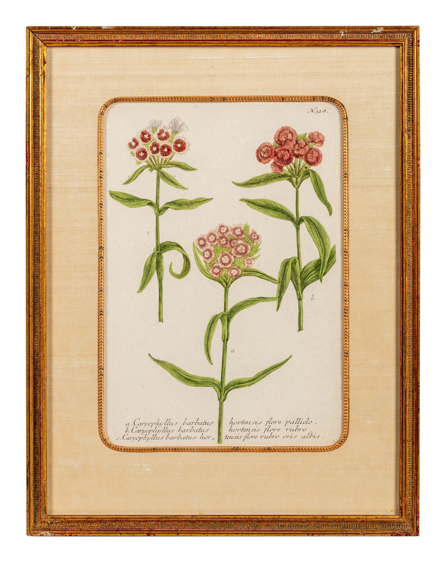 A Set of Six Hand-Colored Botanical Engravings