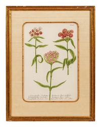 A Set of Six Hand-Colored Botanical Engravings