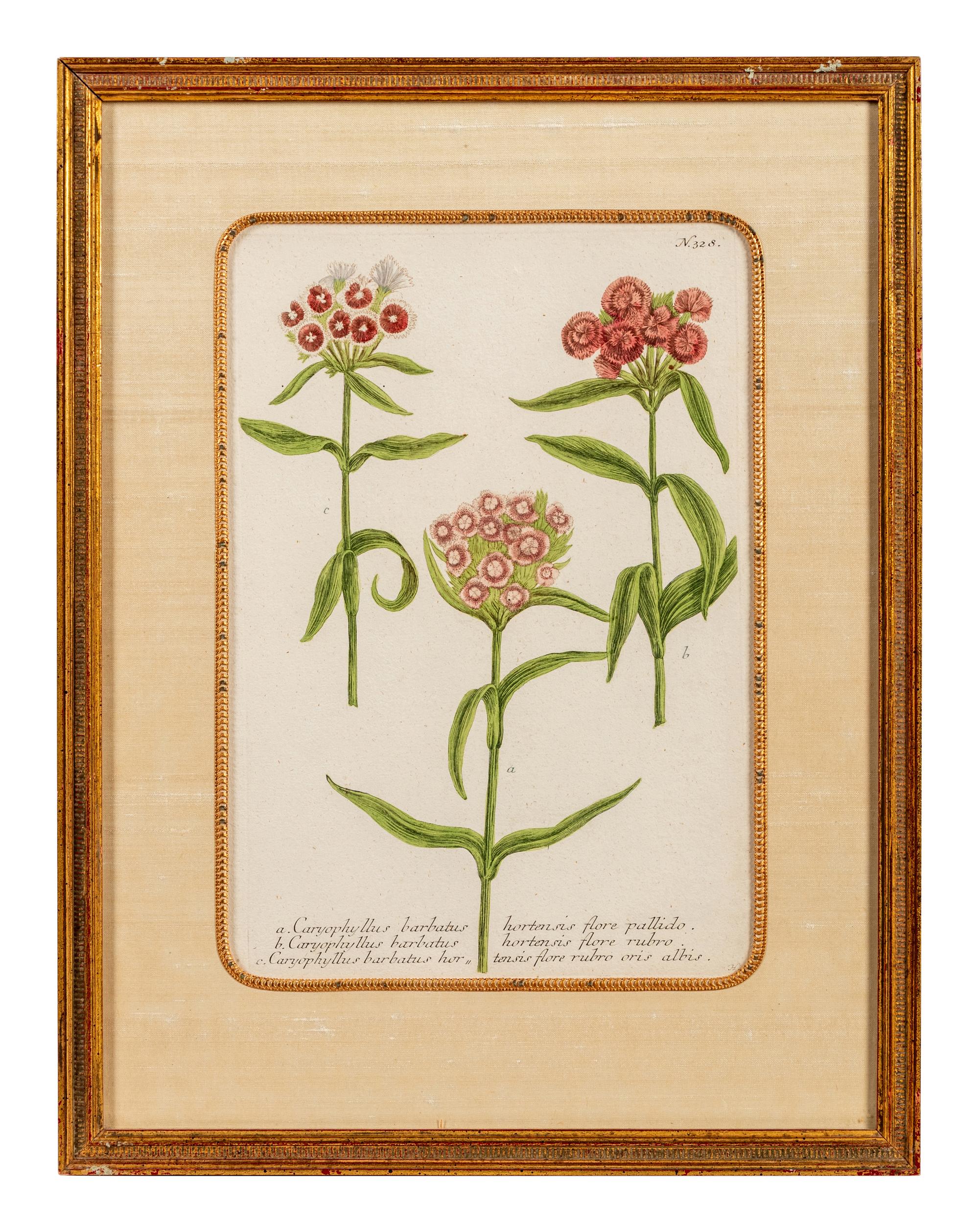 A Set of Six Hand-Colored Botanical Engravings