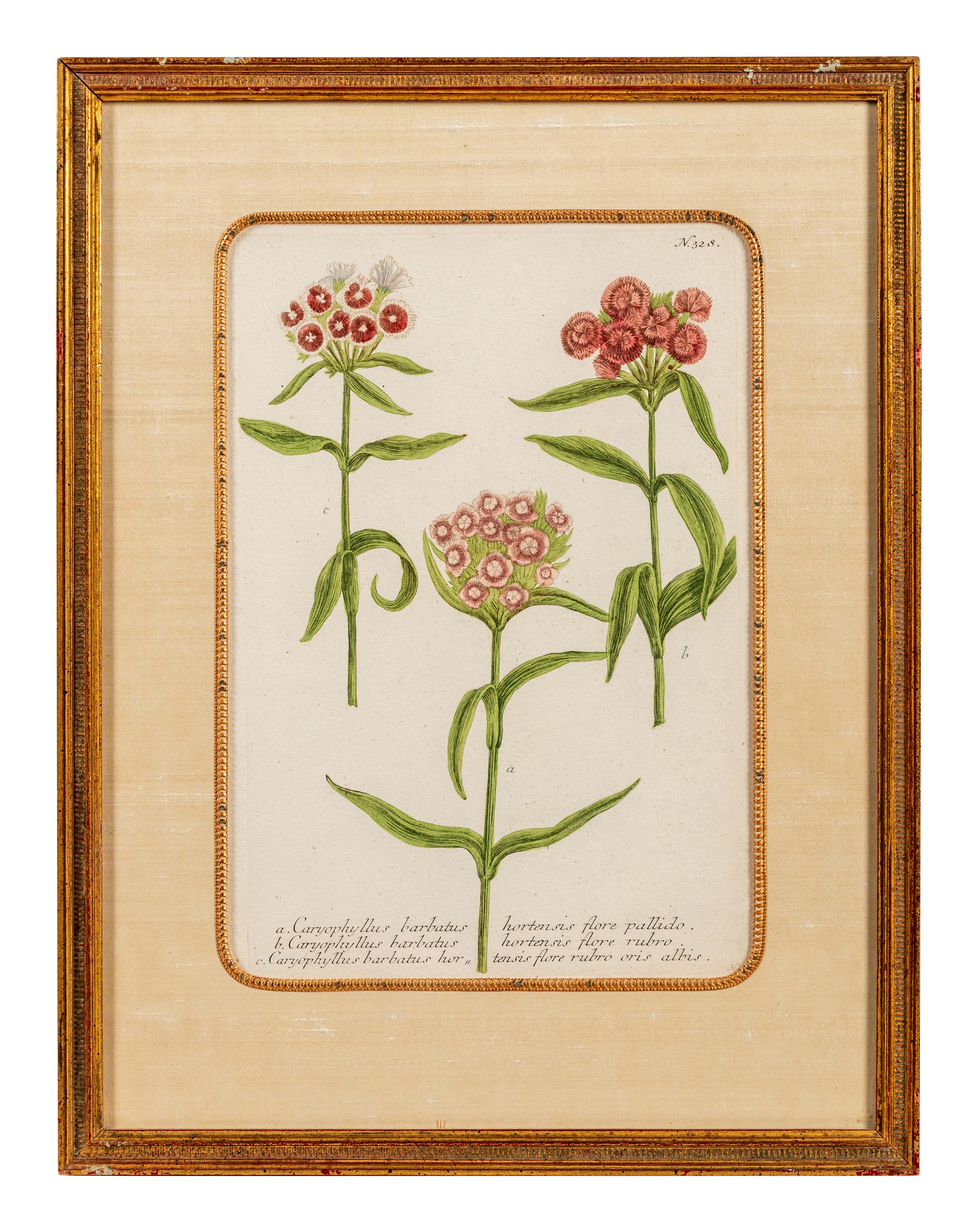 A Set of Six Hand-Colored Botanical Engravings
