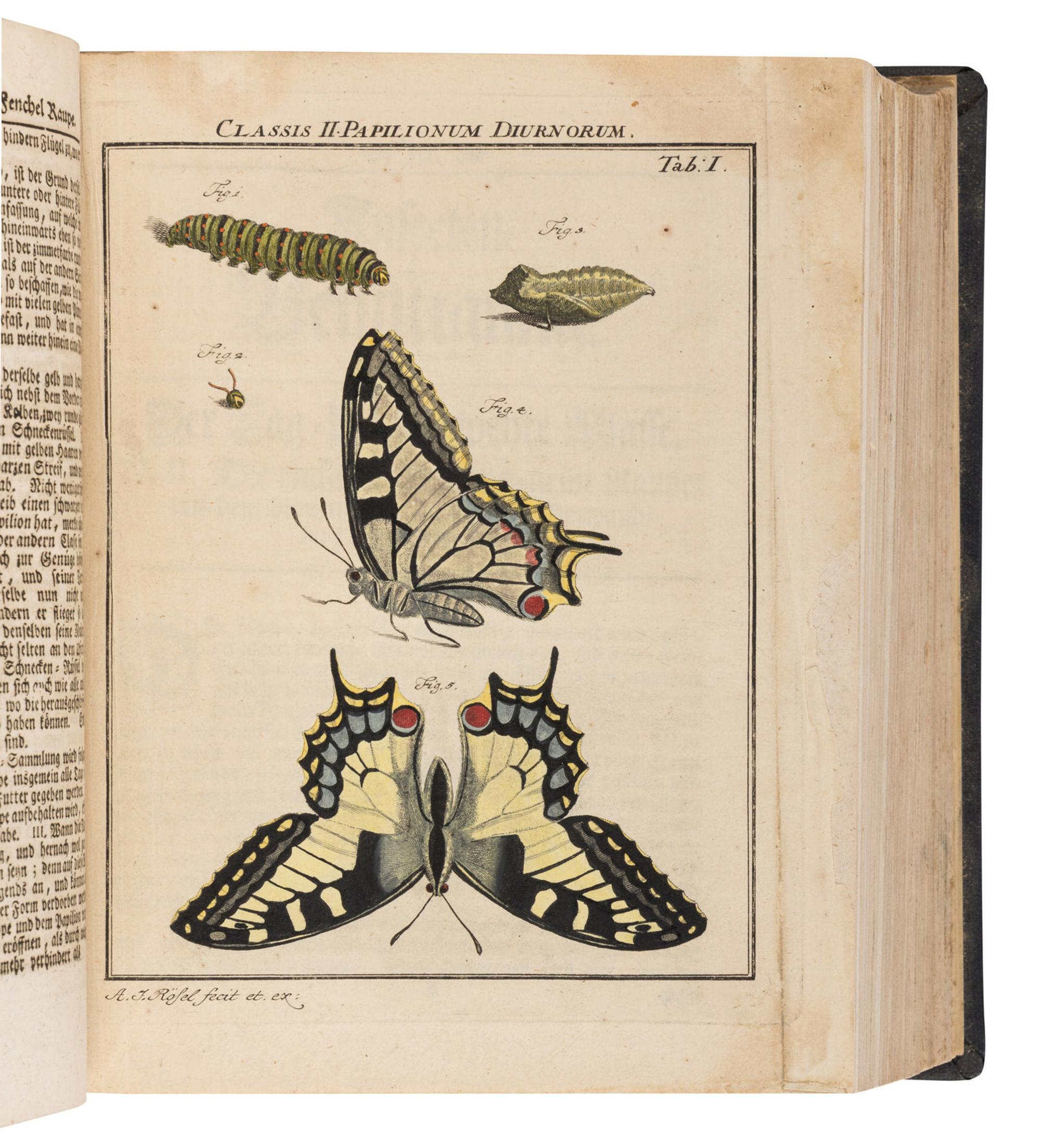 [NATURAL HISTORY.] ROSEL VON ROSENHOF, August Johann (1705-1759). Der Monatlich-Herausgegebenen Insecten Belustigung . Nuremberg: Johann Joseph Flesichmann, 1746-1761.