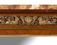 A Louis XV Style Gilt Bronze Mounted Kingwood Marble-Top Vitrine