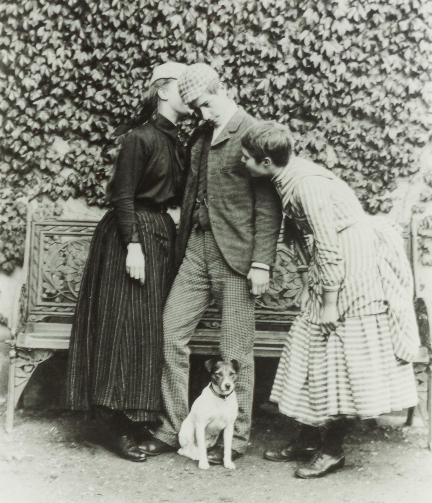 A Group of Three Color Photographs depicting Various Dog Breeds Largest: 19 3/4 x 15 3/4 inches.