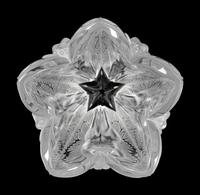 A Lalique Chrysalide Vase