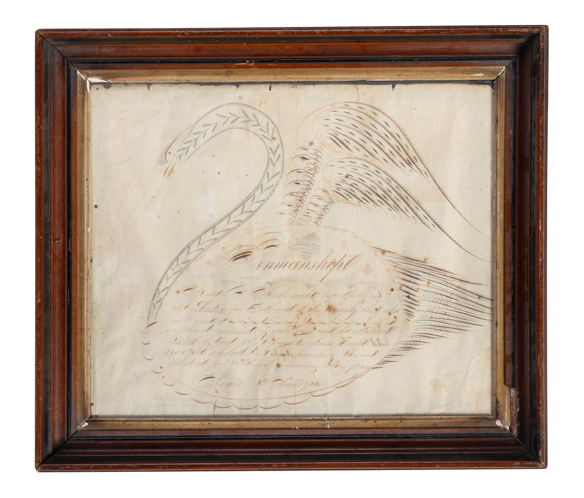 A Swan-Decorated Spencerian Ink Drawing