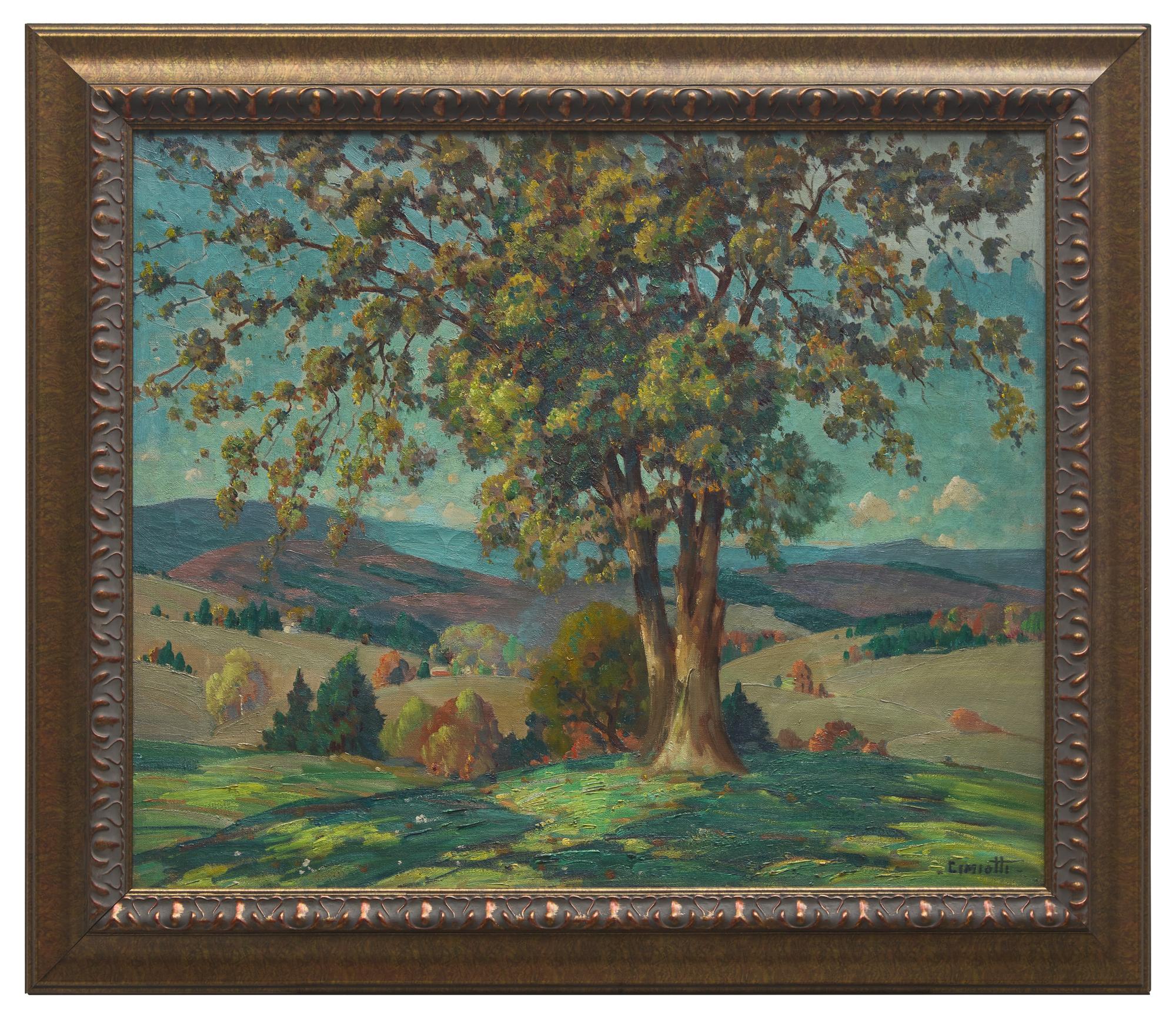 The Rolling Valley