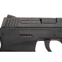 * Smith & Wesson Bodyguard 380 with Insight Laser and Holster