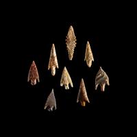 101 Neolithic Flint Points