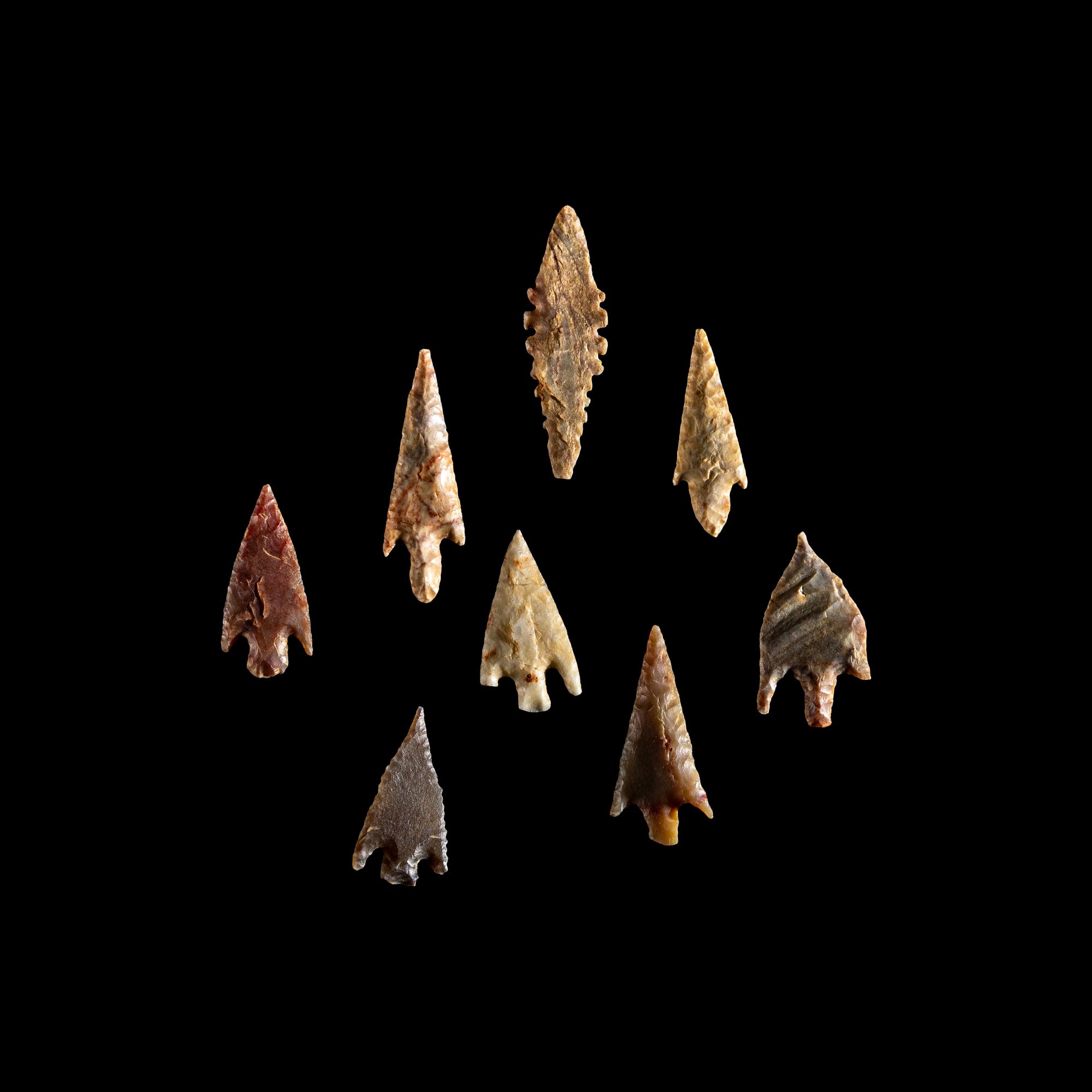 101 Neolithic Flint Points