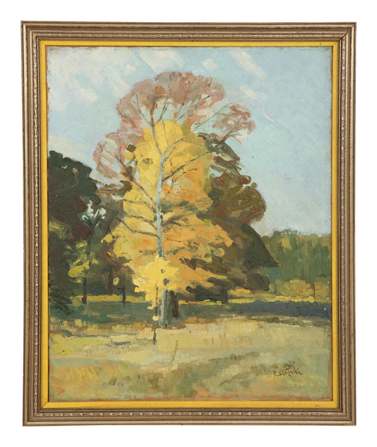 Sunny Landscape