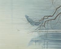 Shades of Grey - Great Blue Heron