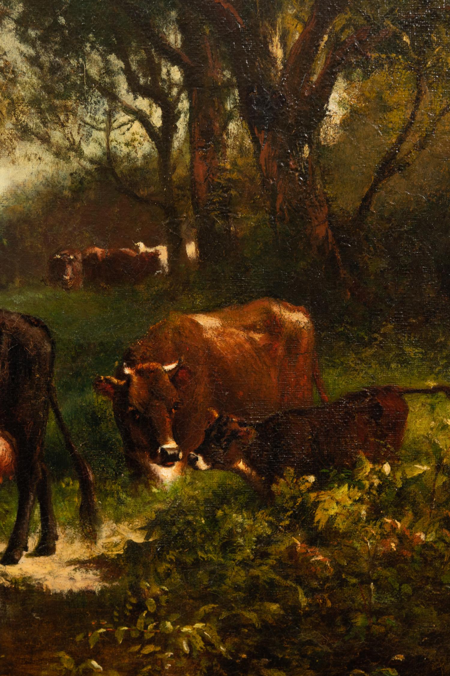 Grazing Cows