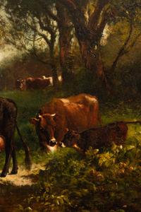 Grazing Cows