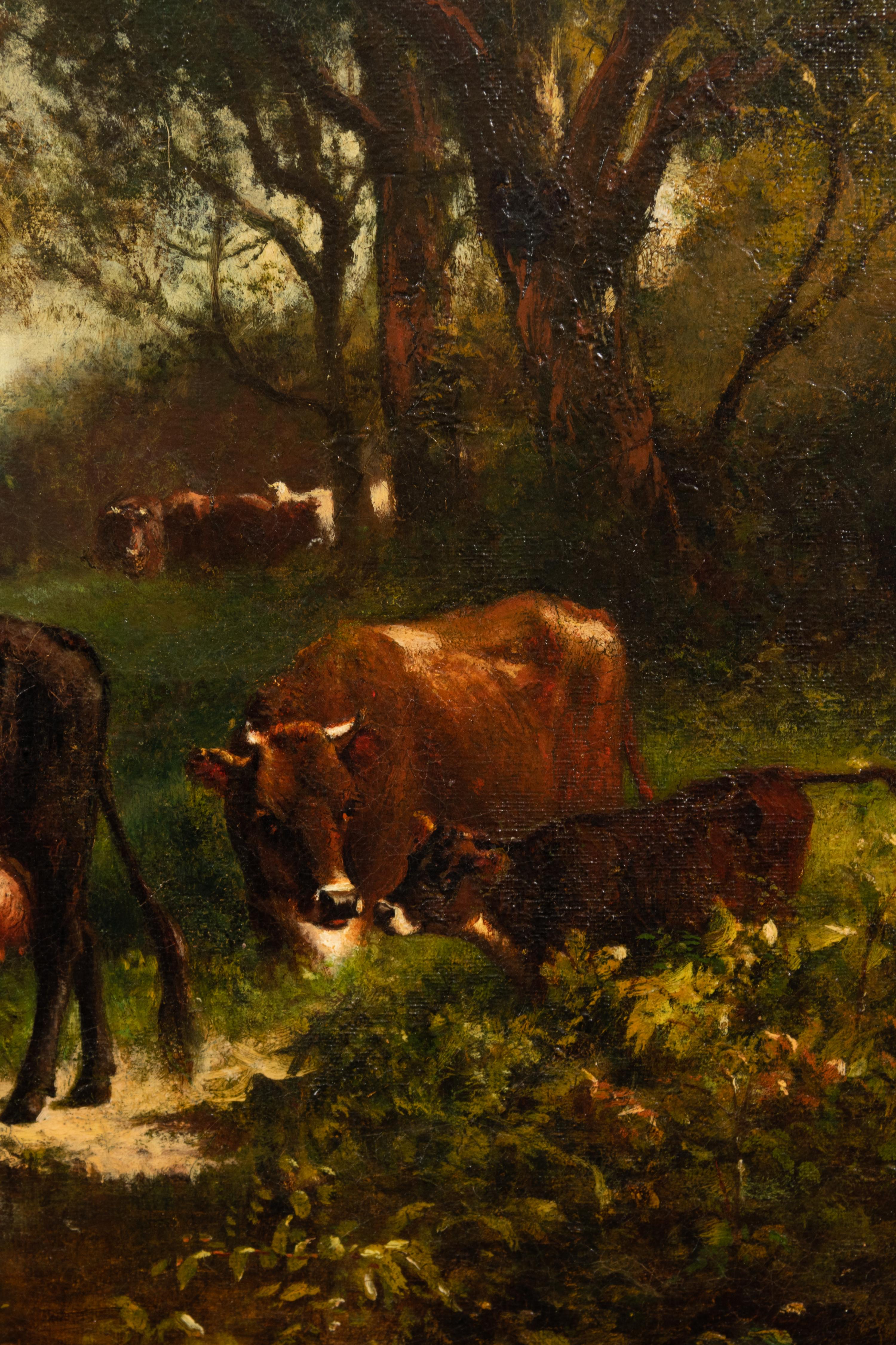Grazing Cows