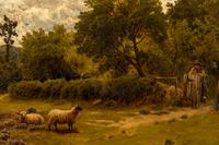 Watching the Flock