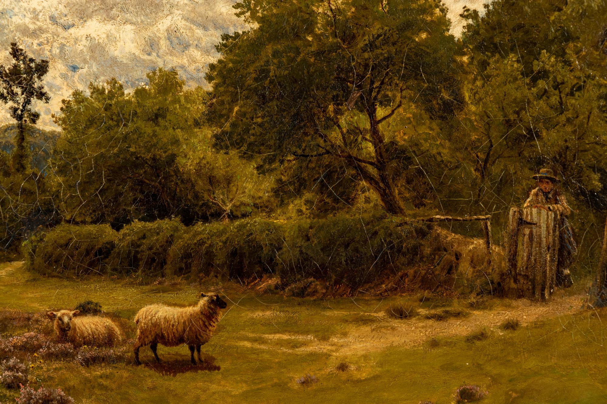 Watching the Flock