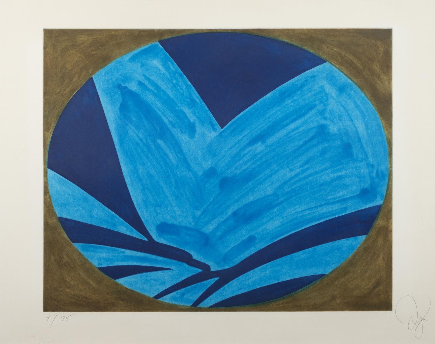 Blue Nyad